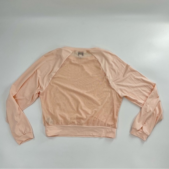 Joy Lab | Mesh Back Crewneck Longsleeve Pullover - Picture 1 of 10